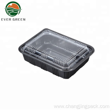 Ever Green Rectangular Takeaway Disposable Sushi Food Trays